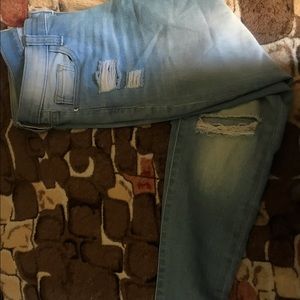 Owl Fish Sneek Peak Pants!